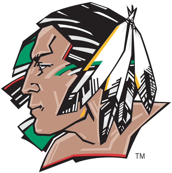 North Dakota Fighting Sioux 2000-2006 Primary Logo diy fabric transfer